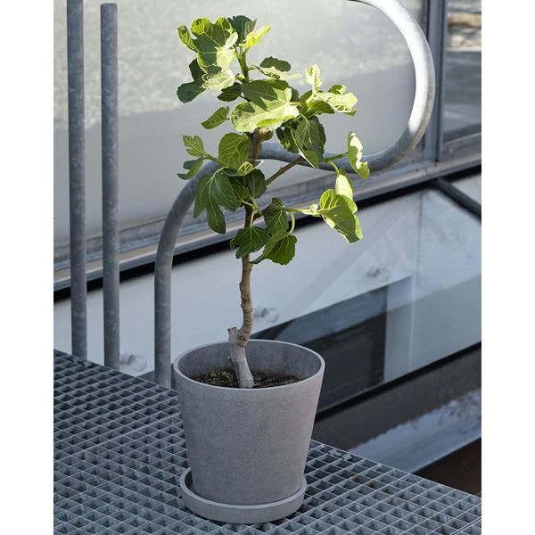 New π― HAY Pot De Fleur Beton Flowerpot Taille L 𧨠9 HAY Pot De Fleur Beton Flowerpot Taille L