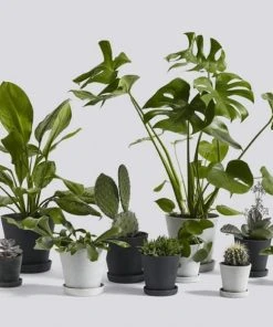 HAY Macetero Flowerpot L Black