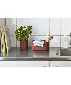 Buy 𧨠HAY Pot A Herbes Facade Terracotta S β€οΈ 5 HAY Pot A Herbes Facade Terracotta S