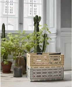 Budget π₯ HAY Caja Plegable L π€© 7 HAY Caja Plegable L