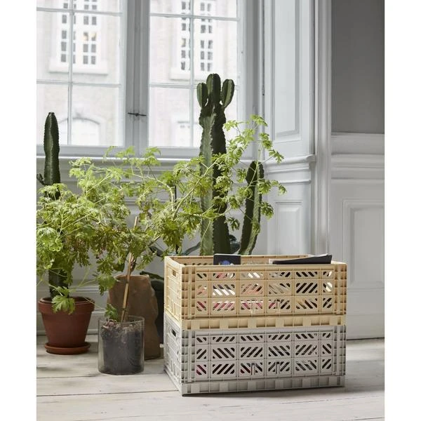 Budget π₯ HAY Caja Plegable L π€© 5 HAY Caja Plegable L