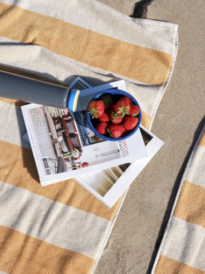 Best Pirce ⭐ HAY 500ml Sowden Grey Thermo Bottle ✔️ 4 HAY 500ml Sowden Grey Thermo Bottle