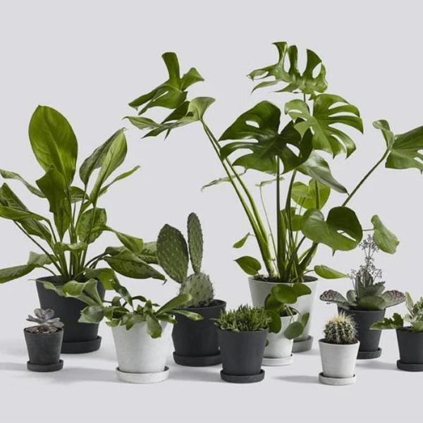 Best deal π₯ HAY Macetero Flowerpot S Green π 4 HAY Macetero Flowerpot S Green