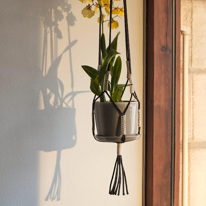 Best Pirce ✔️ HAY Phanta Plant Hanger ⌛ 4 HAY Phanta Plant Hanger