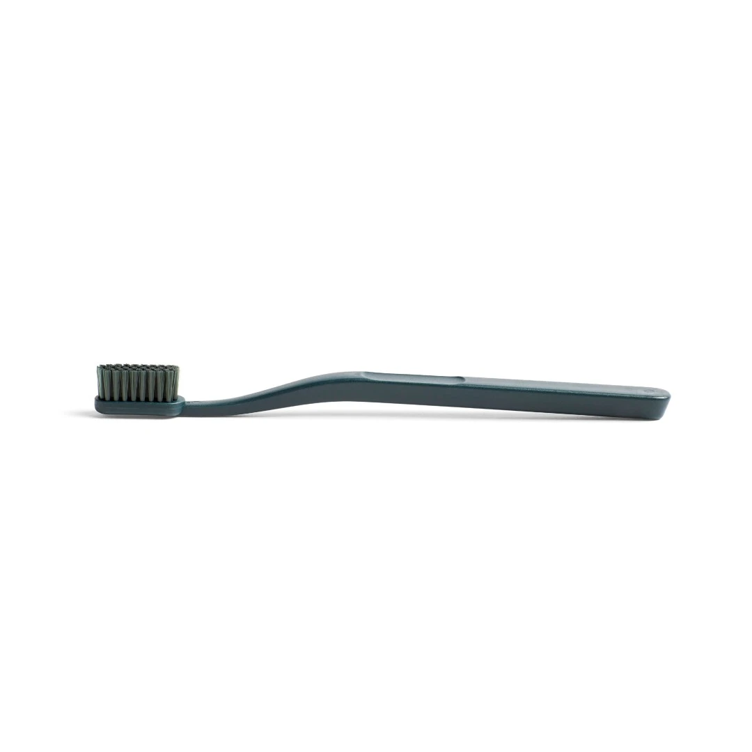 Coupon ๐ HAY Tann Toothbrush โค๏ธ 4 HAY Tann Toothbrush