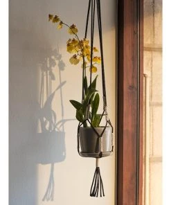 Best Pirce ✔️ HAY Phanta Plant Hanger ⌛ 13 HAY Phanta Plant Hanger