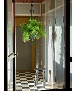 Best Pirce ✔️ HAY Phanta Plant Hanger ⌛ 12 HAY Phanta Plant Hanger