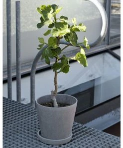 HAY Pot De Fleur Beton Flowerpot Taille S