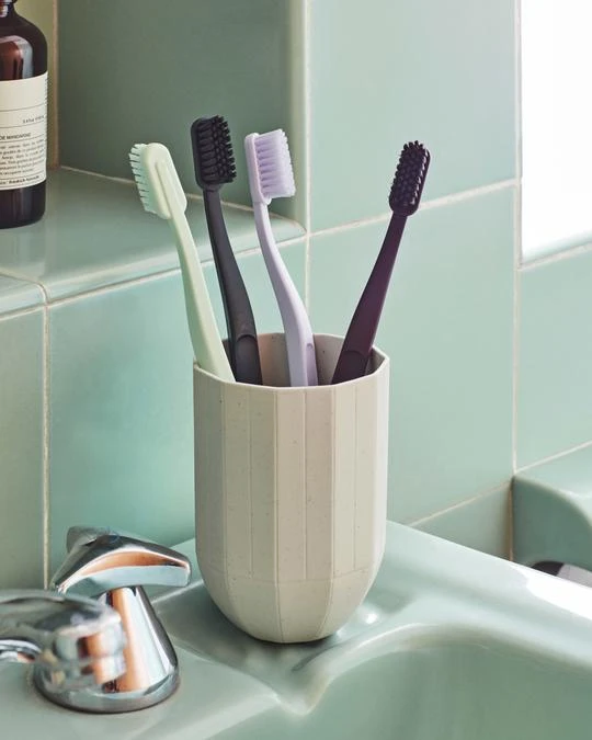 Brand new β HAY Cepillo De dientes Tann Tale Apricot 𧨠4 HAY Cepillo De dientes Tann Tale Apricot