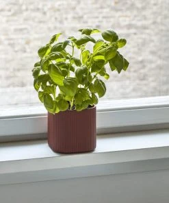 HAY Facade Herb Pot S