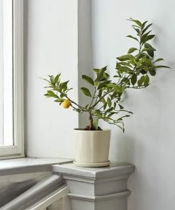 HAY HAY Botanical Family Pot M - Off White