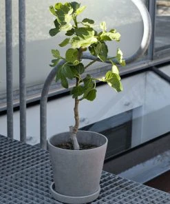 HAY Flower Pot with Saucer XL