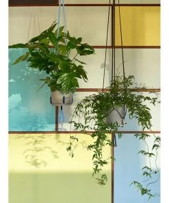 Best Pirce ✔️ HAY Phanta Plant Hanger ⌛ 11 HAY Phanta Plant Hanger