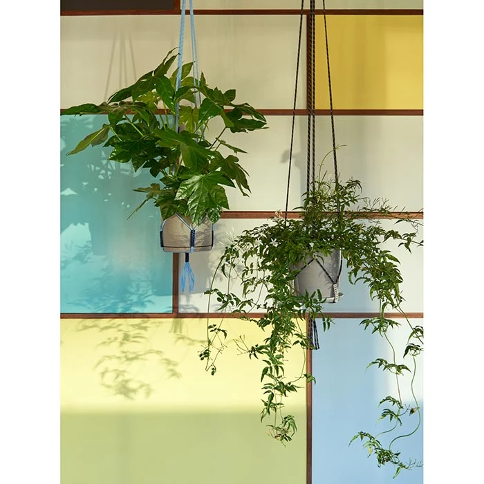 Best Pirce ✔️ HAY Phanta Plant Hanger ⌛ 6 HAY Phanta Plant Hanger