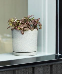 Coupon 𧨠HAY Plant Pot with Saucer XXL Grey π 6 HAY Plant Pot with Saucer XXL Grey