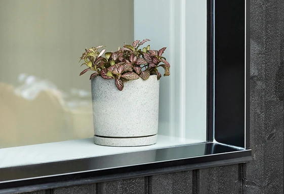 Coupon 𧨠HAY Plant Pot with Saucer XXL Grey π 4 HAY Plant Pot with Saucer XXL Grey