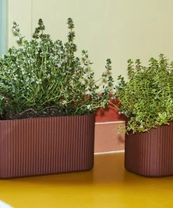 Cheapest π HAY Facade Herb Pot M β¨ 13 HAY Facade Herb Pot M