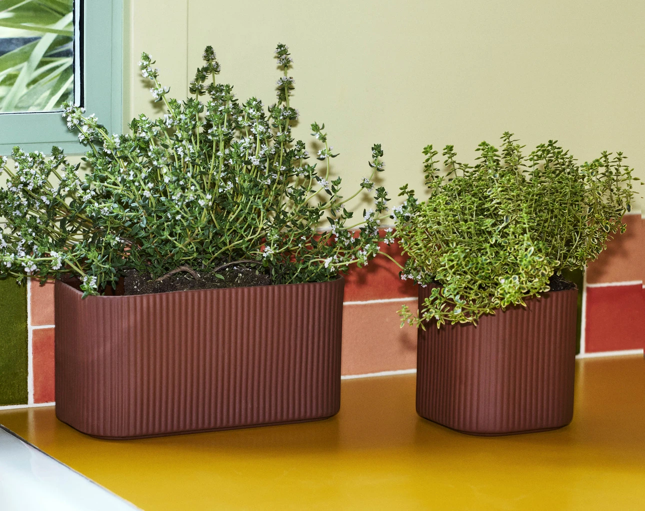 Cheapest π HAY Facade Herb Pot M β¨ 8 HAY Facade Herb Pot M