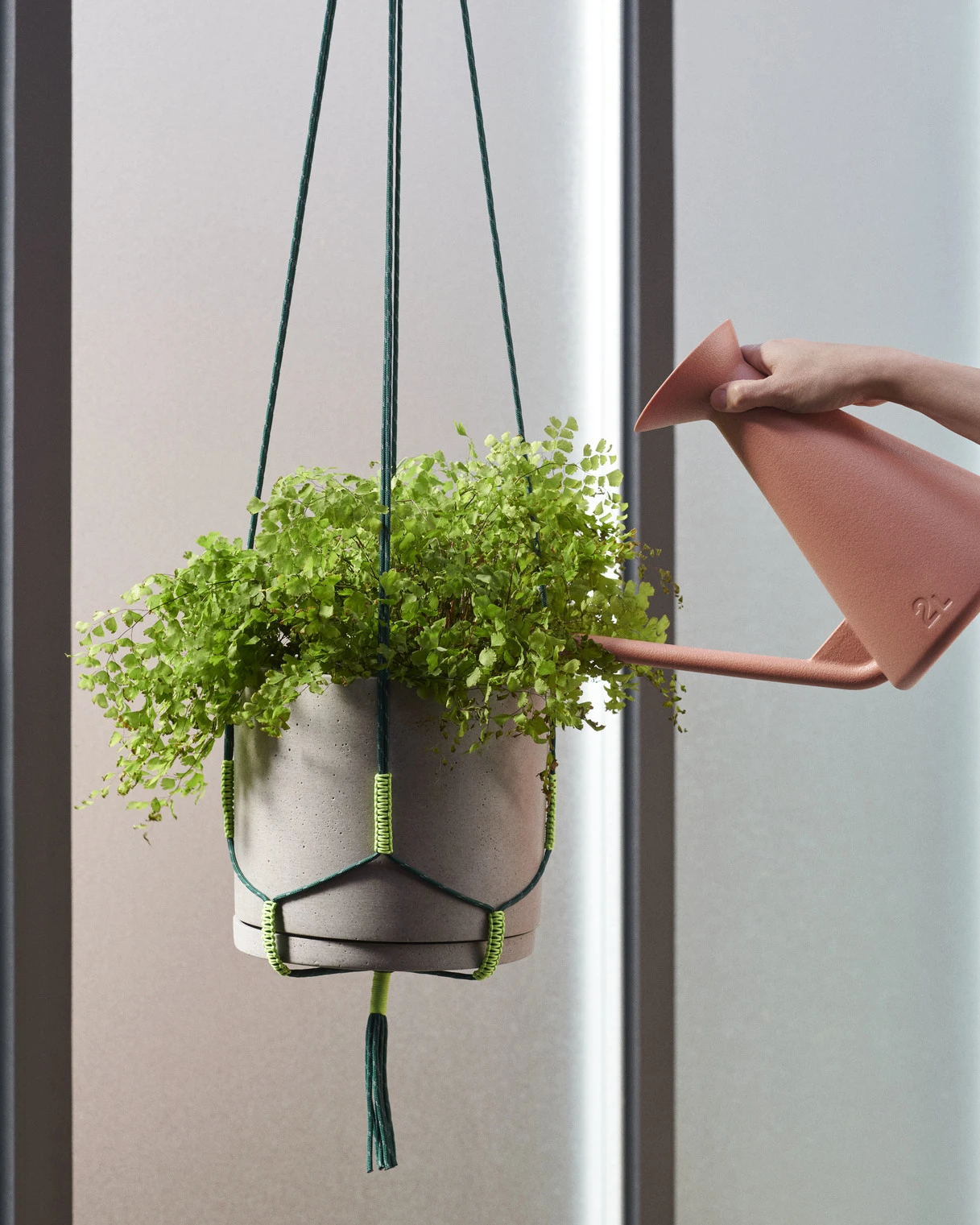 Outlet π₯ HAY PHANTA PLANT HANGER π 5 HAY PHANTA PLANT HANGER