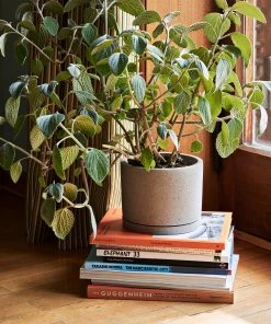 Coupon 𧨠HAY Plant Pot with Saucer XXL Grey π 7 HAY Plant Pot with Saucer XXL Grey