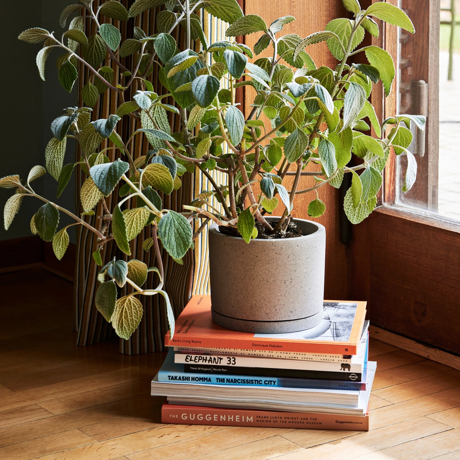 Coupon 𧨠HAY Plant Pot with Saucer XXL Grey π 5 HAY Plant Pot with Saucer XXL Grey