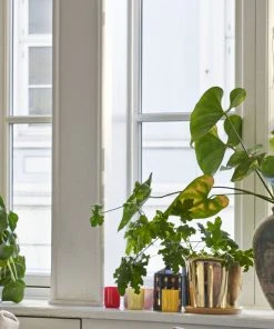 Outlet ⌛ HAY Botanical Family Pot Brass Large ⭐ 5 HAY Botanical Family Pot Brass Large