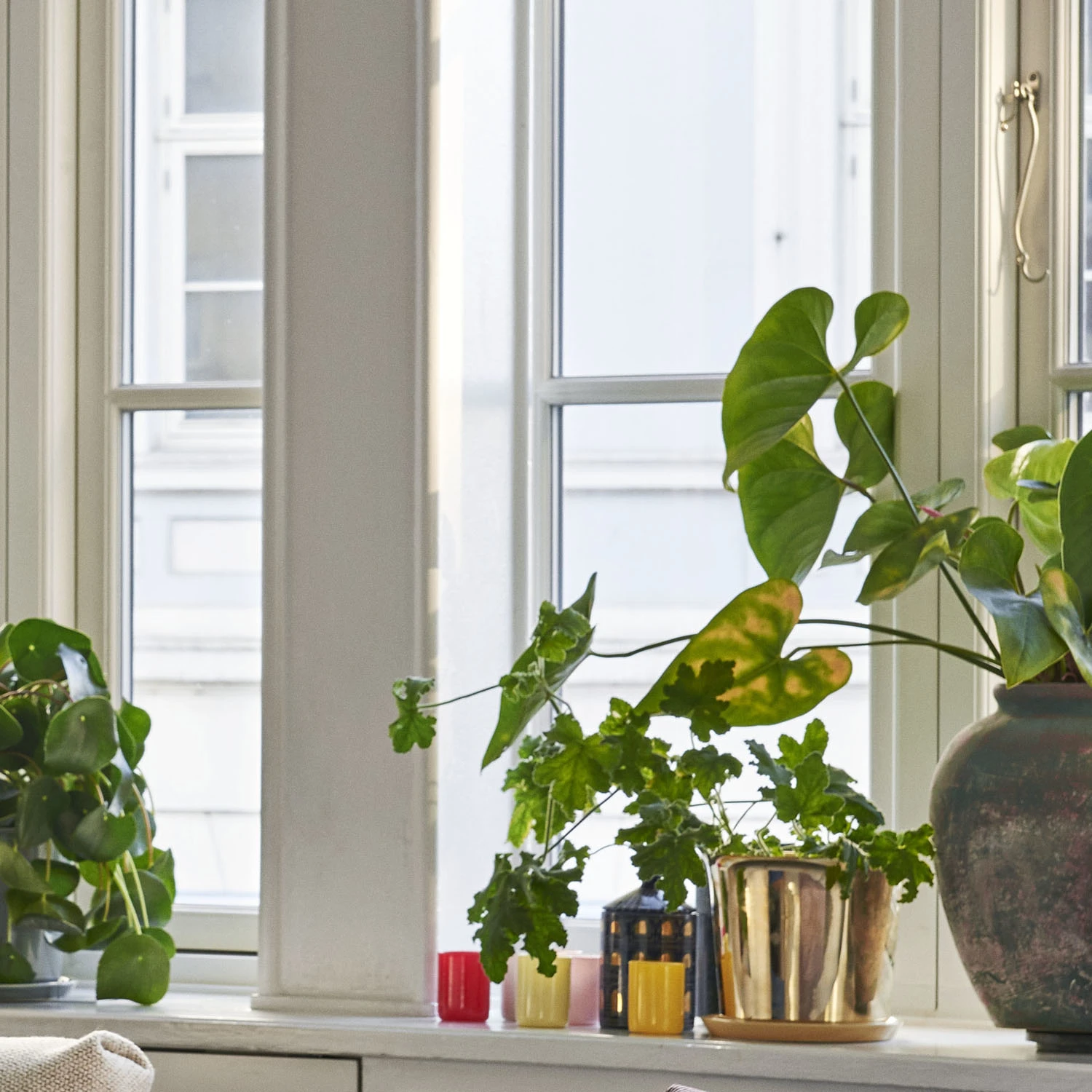 Outlet ⌛ HAY Botanical Family Pot Brass Large ⭐ 4 HAY Botanical Family Pot Brass Large