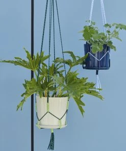 Outlet π₯ HAY PHANTA PLANT HANGER π 6 HAY PHANTA PLANT HANGER